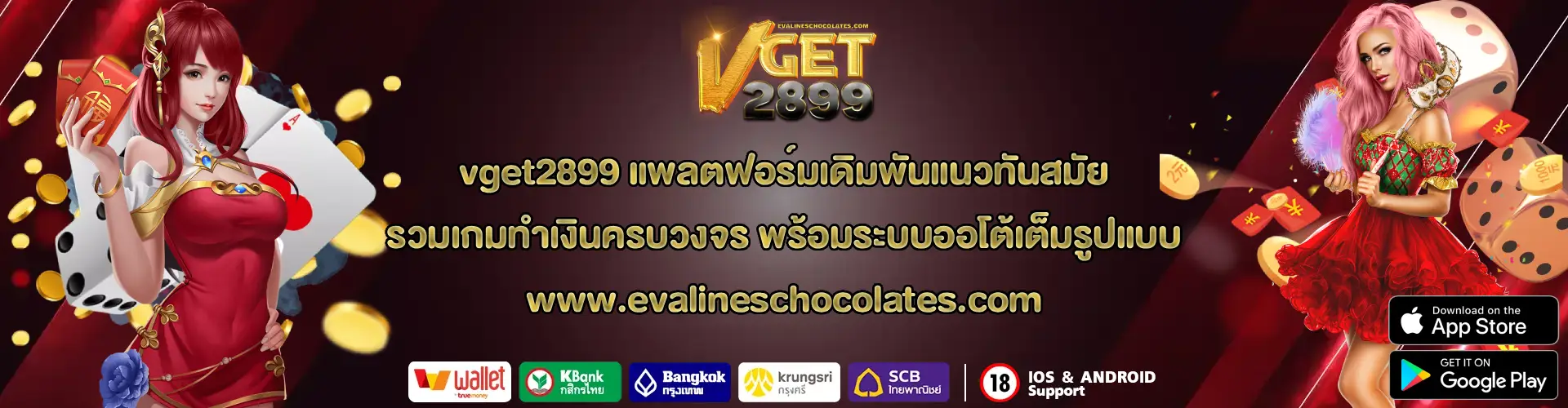 vget2899